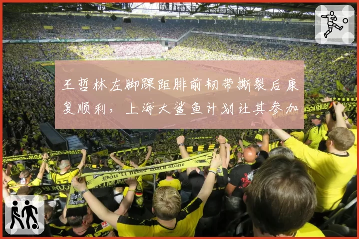 王哲林左脚踝距腓前韧带撕裂后康复顺利，上海大鲨鱼计划让其参加全队合练