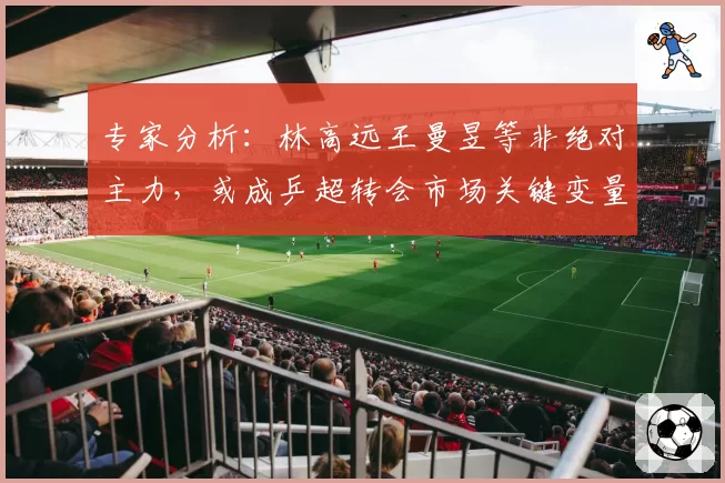 专家分析：林高远王曼昱等非绝对主力，或成乒超转会市场关键变量