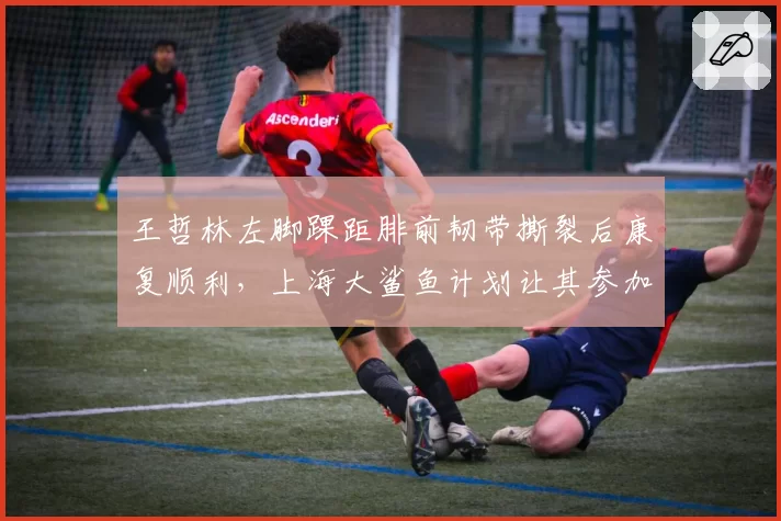 王哲林左脚踝距腓前韧带撕裂后康复顺利，上海大鲨鱼计划让其参加全队合练