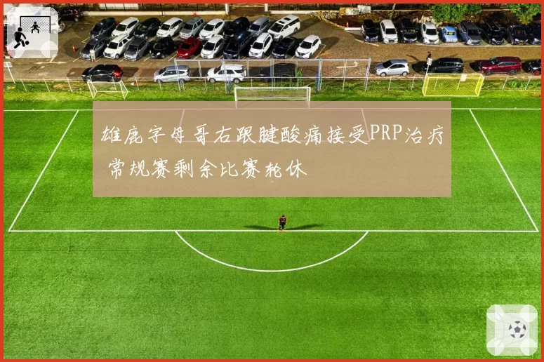 雄鹿字母哥右跟腱酸痛接受PRP治疗 常规赛剩余比赛轮休