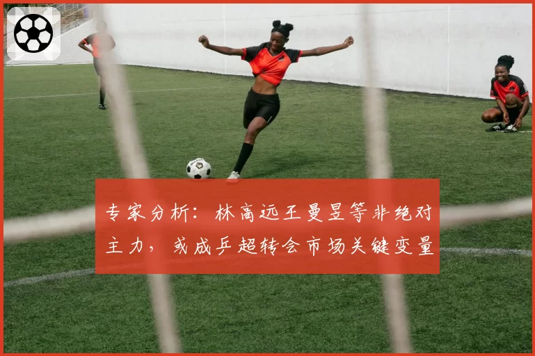 专家分析：林高远王曼昱等非绝对主力，或成乒超转会市场关键变量